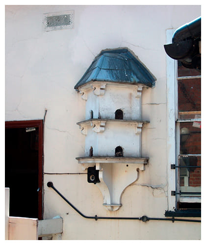 Palomar de pared